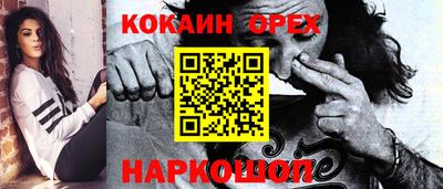 крисы Будённовск
