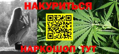 крисы Будённовск