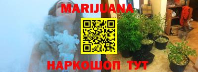 крисы Будённовск