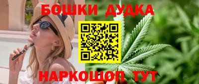 крисы Будённовск